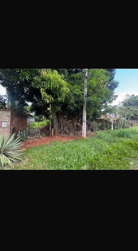 Vendo terreno en San Lorenzo