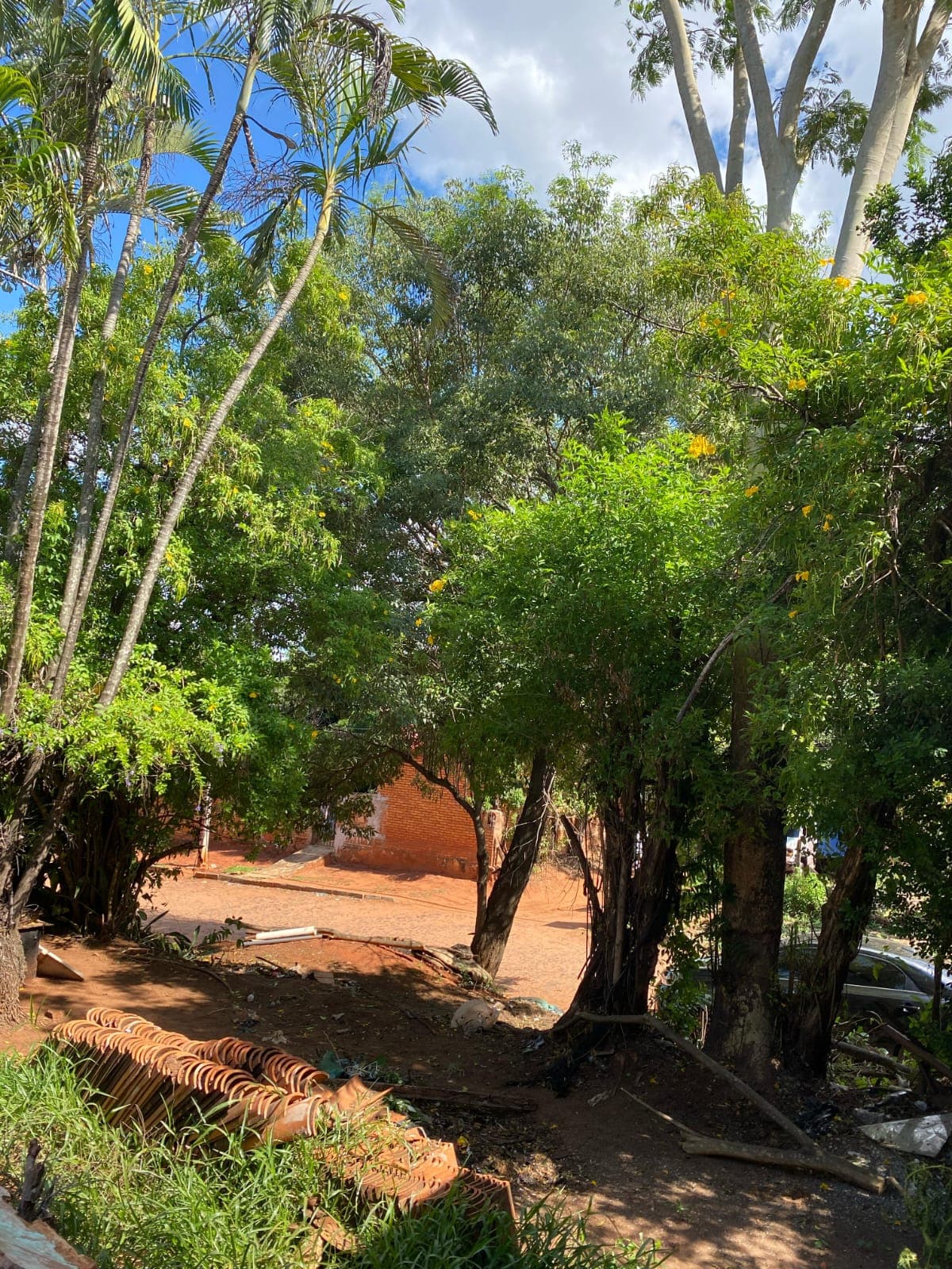 En venta terreno 462 m² Ñemby rincon
