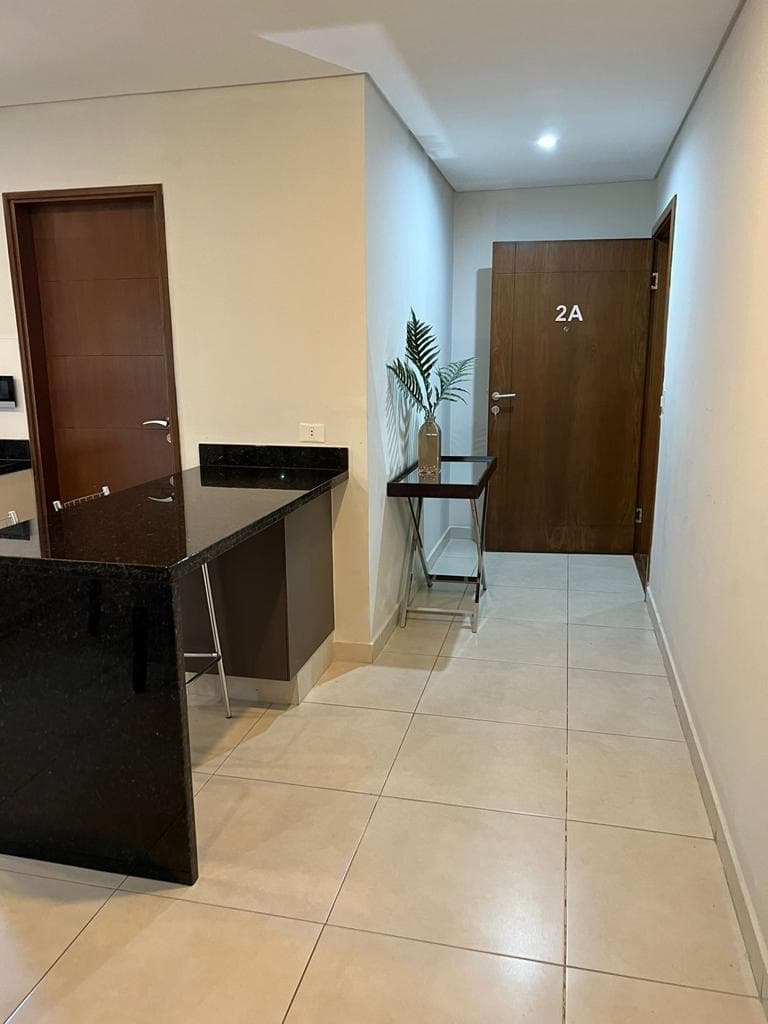 Hermoso Y Amplio Dpto Amoblado De 2 Habit En Suite, foto 3