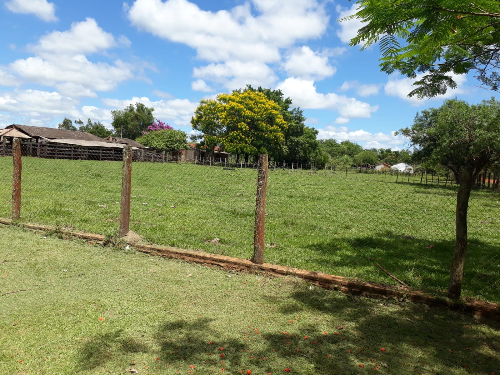 Propiedad rural en arroyos y esteros isla guazu, foto 3