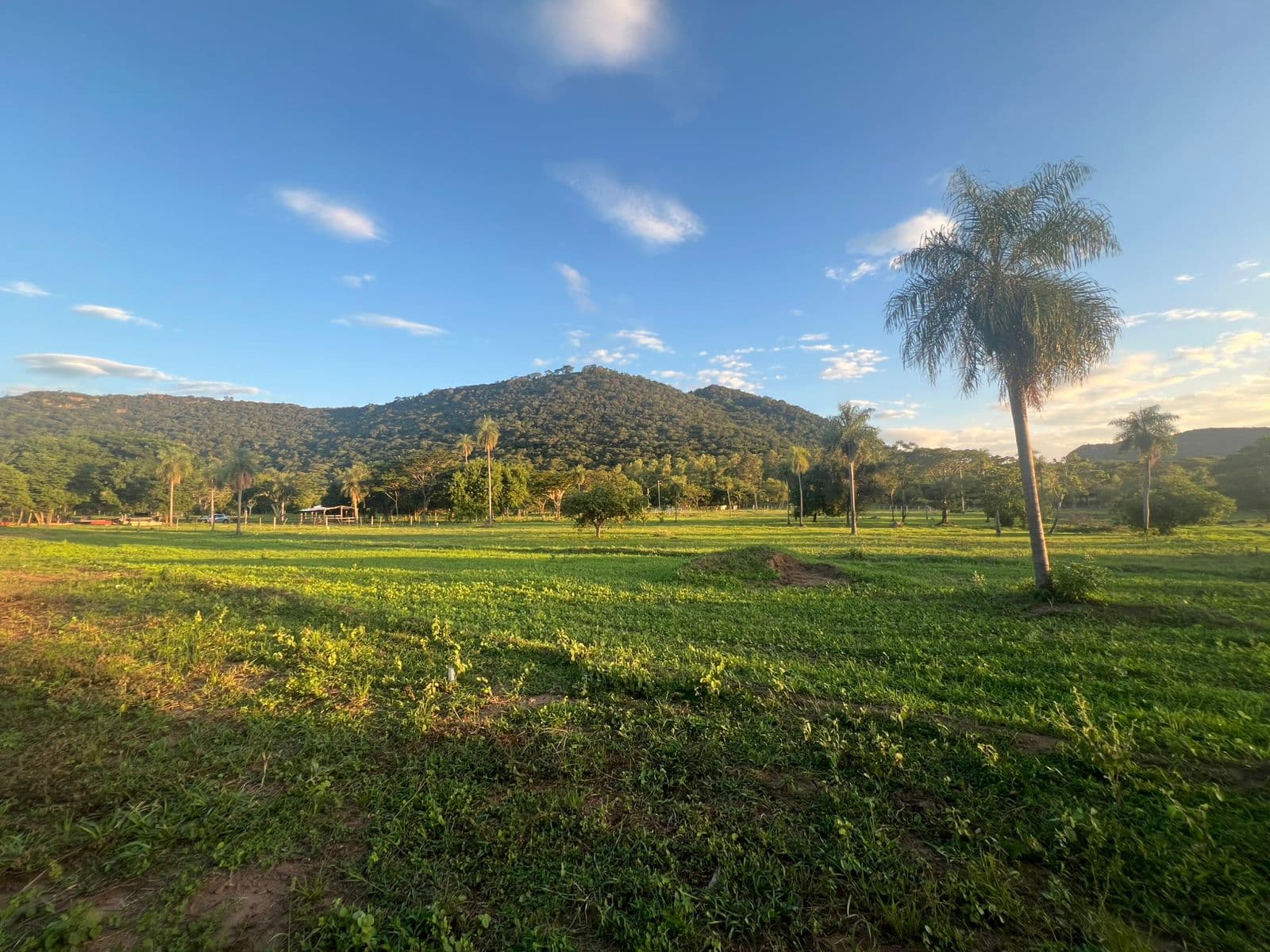 Terrenos en paraguari con vista al cerro hu — foto 4