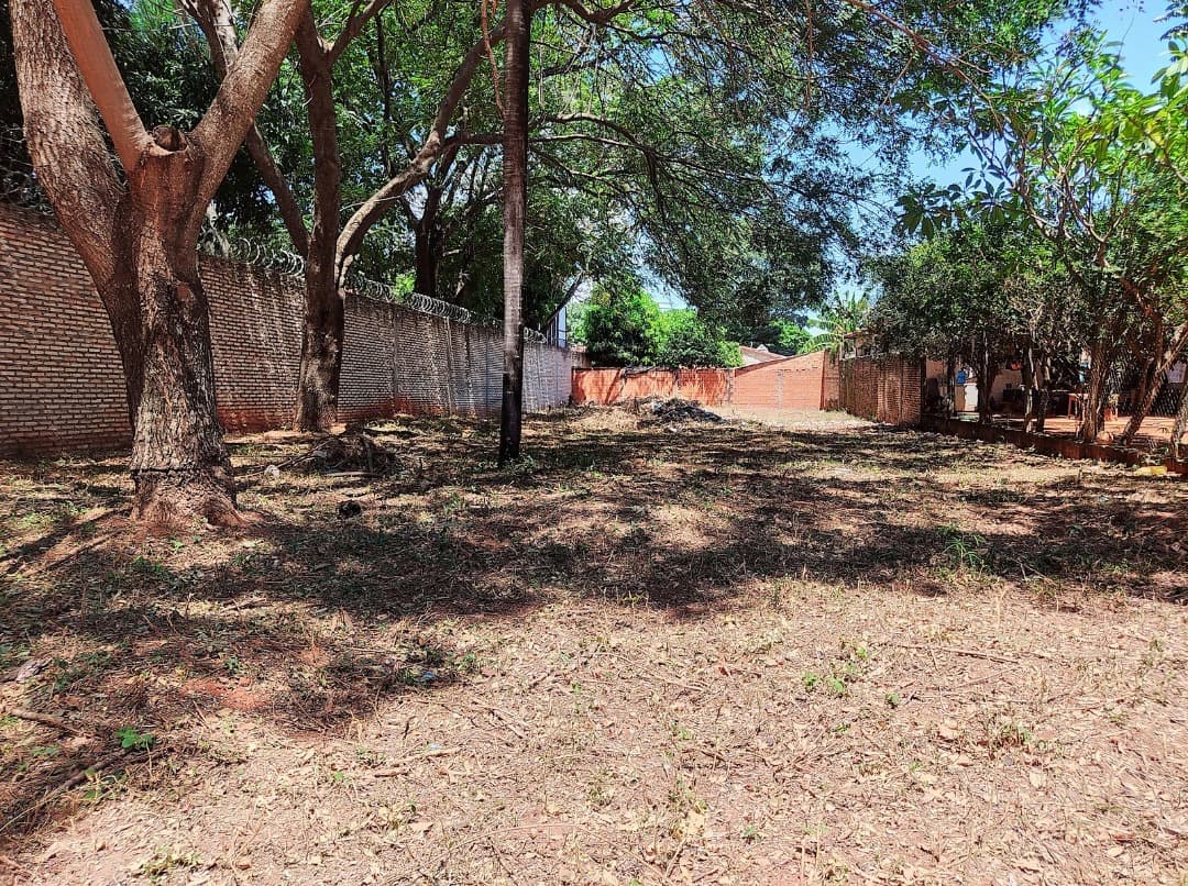En venta terreno de 520m2 en Luque - mora cue, foto 4