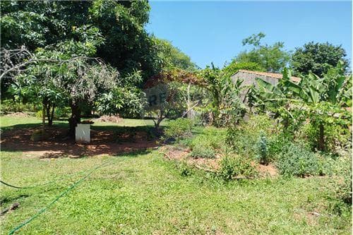 Terreno en san antonio, foto 3