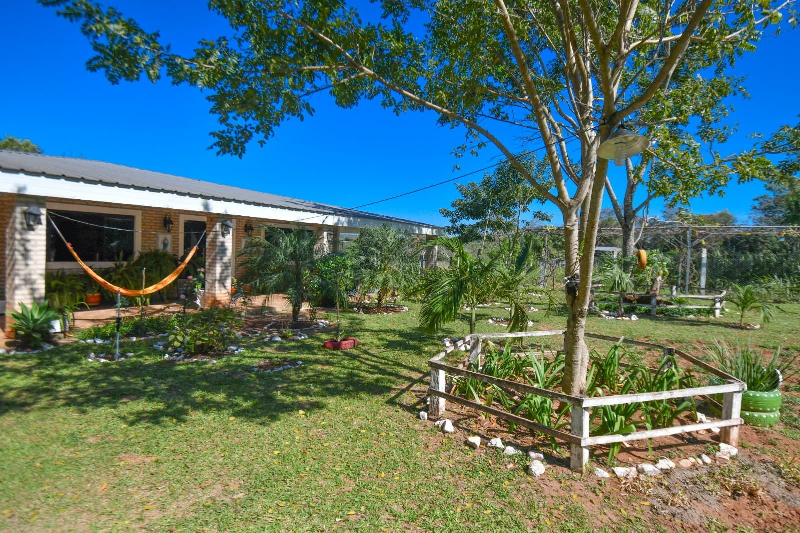 Granja modelo en venta - santani — foto 3