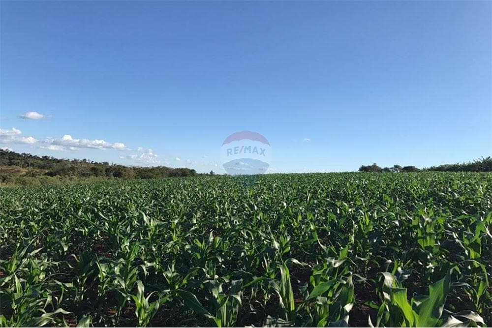 Estancia/Campo - Alquiler - Minga Guazú, Paraguay, foto 3