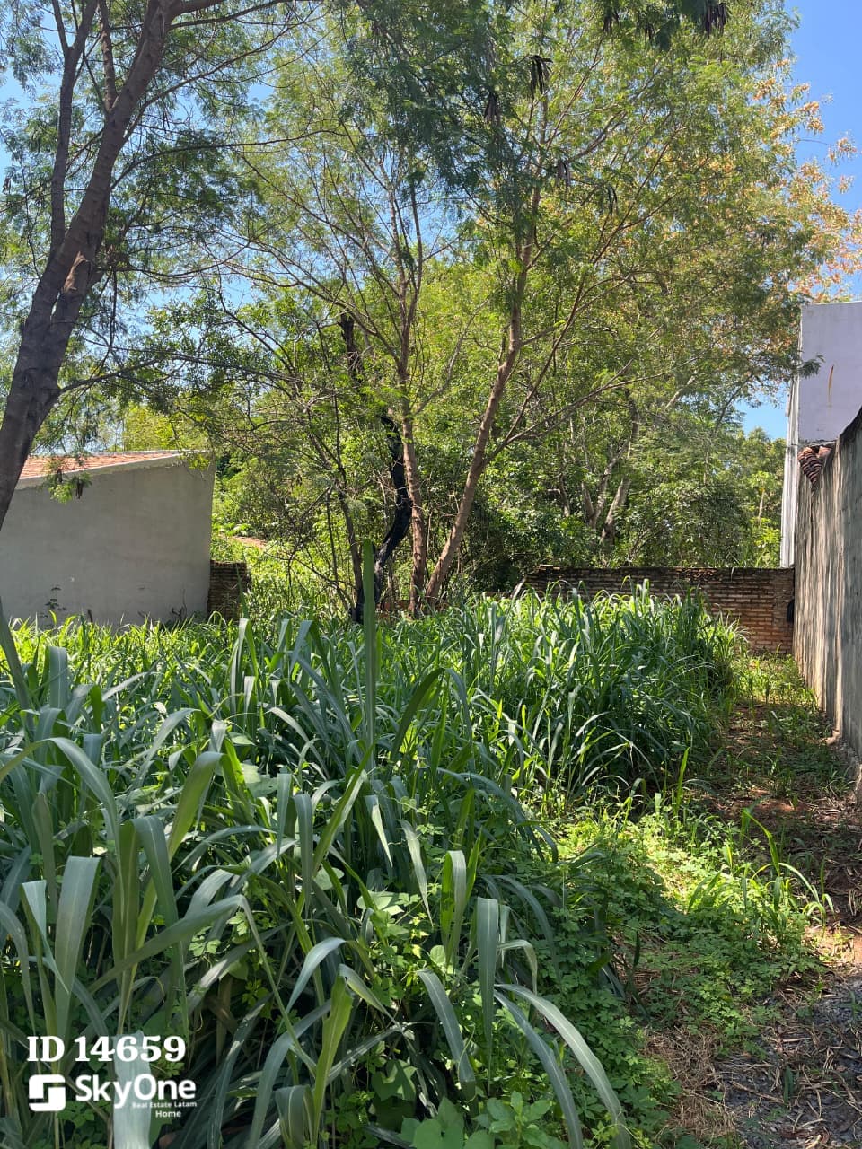 Terreno en mariano, foto 4