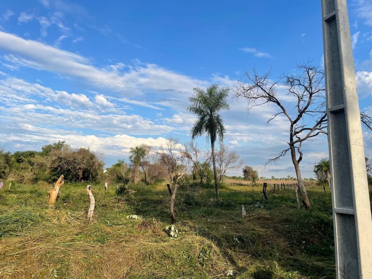 En venta 2 terrenos juntos sobre ruta Luque-sanber zona ciervo cua, foto 3