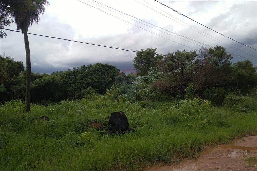 Terreno los jardines, Luque, foto 3