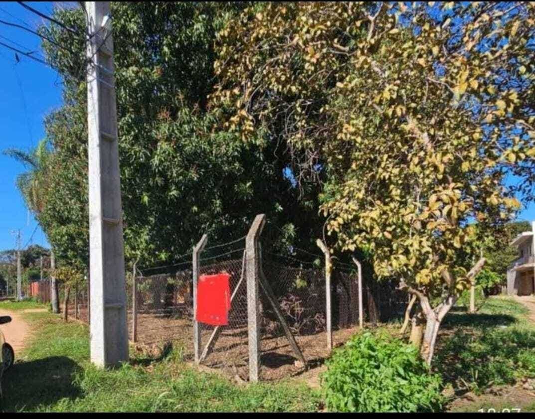Terreno en Mariano Roque Alonso, zona universo, foto 2