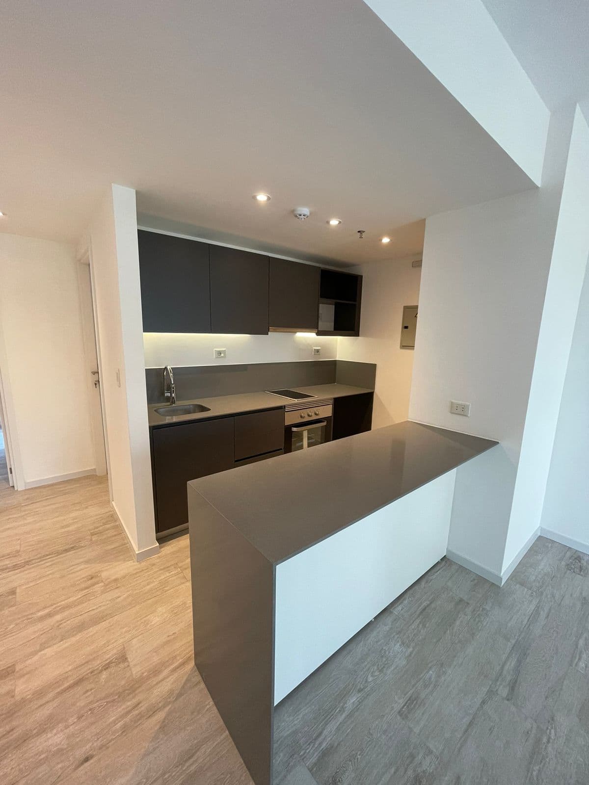 amplio dpto a estrenar de 1 dormitorio - Zona Molas López — foto 2