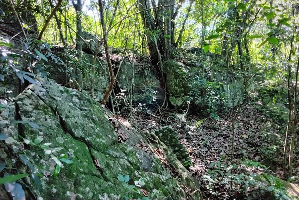 Terreno - Venta - Paraguay Cordillera Atyra, foto 5