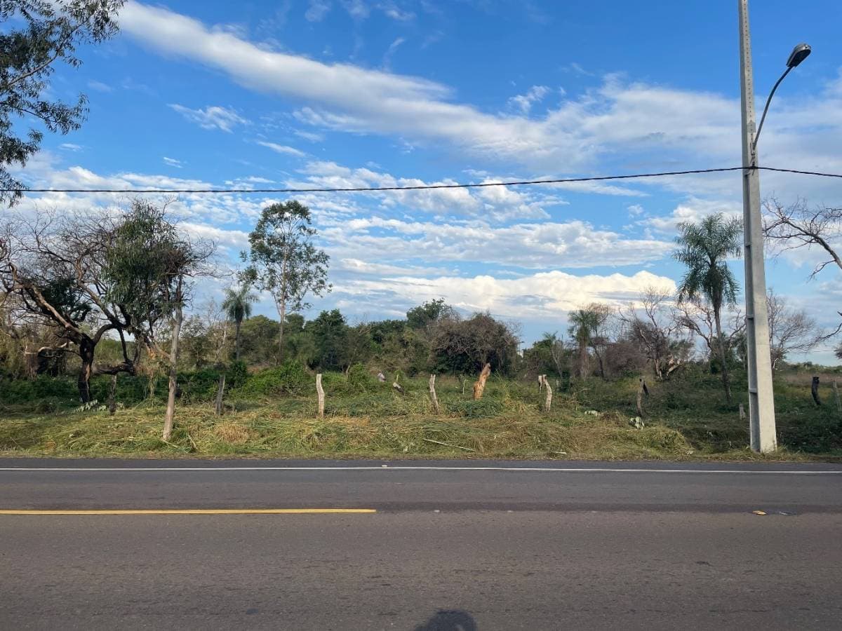 En venta 2 terrenos juntos sobre ruta Luque-sanber zona ciervo cua, foto 5