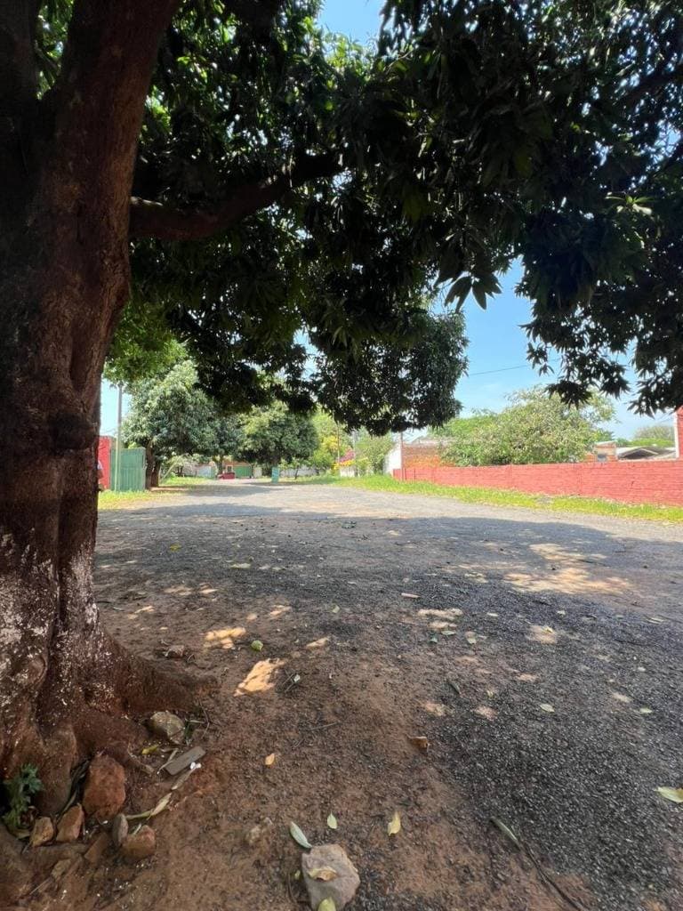 Terreno en alquiler en asuncion - sobre republica argentina — foto 4