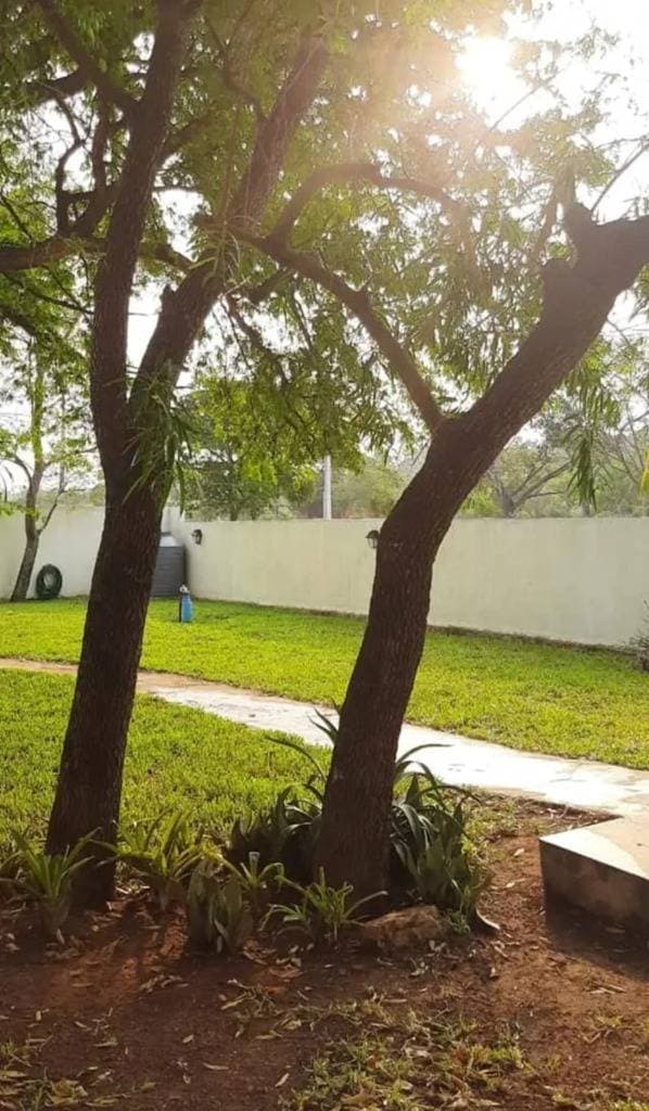 Casa por temporada-San Bernardino, foto 5