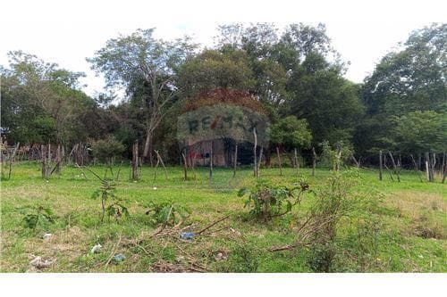 Terreno en venta, ypane, foto 1