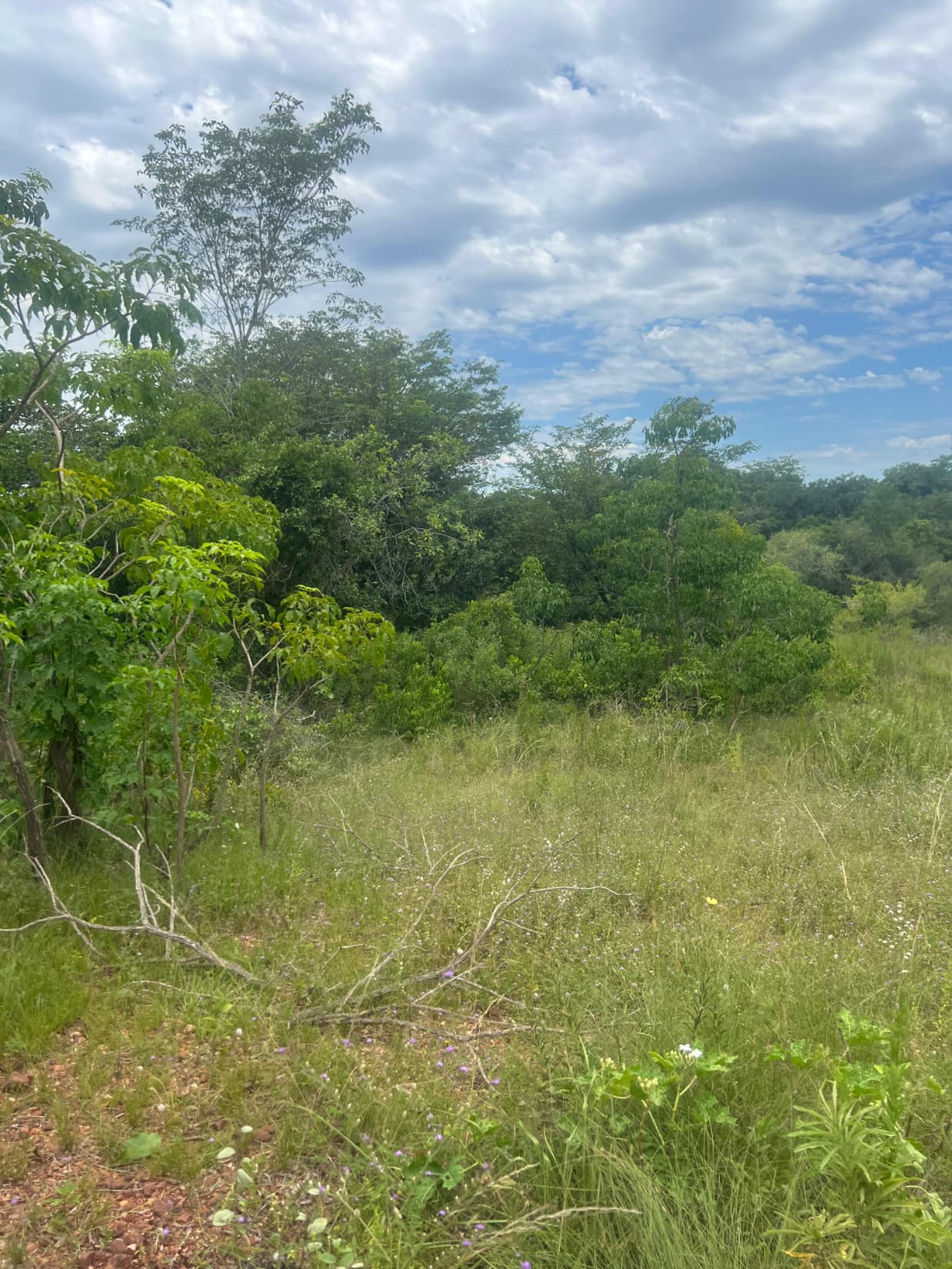 Oportunidad real de inversión en Luque jukyry