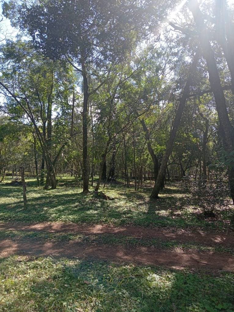 En venta terreno en altos – cordillera, paraguay, foto 4