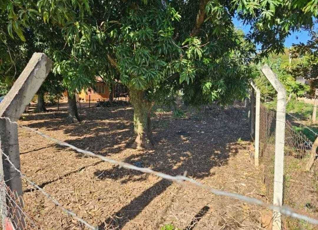 Terreno en Mariano Roque Alonso, zona universo, foto 2