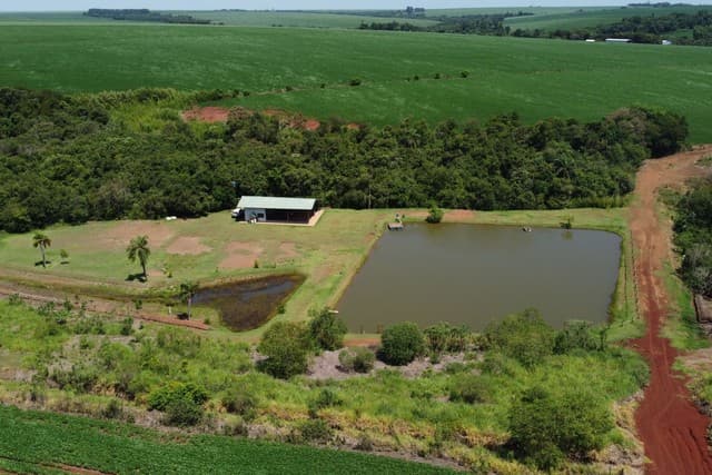 campo de 45 hectáreas mecanizado en Ciudad del Este, foto 3