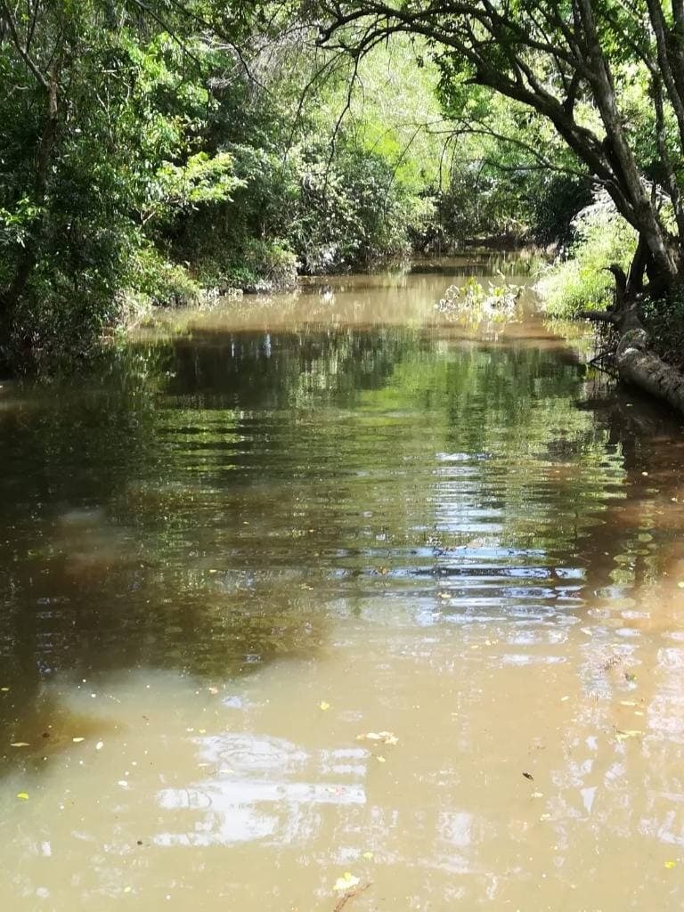 estancia en Caapucu - Departamento de Paraguarí — foto 2