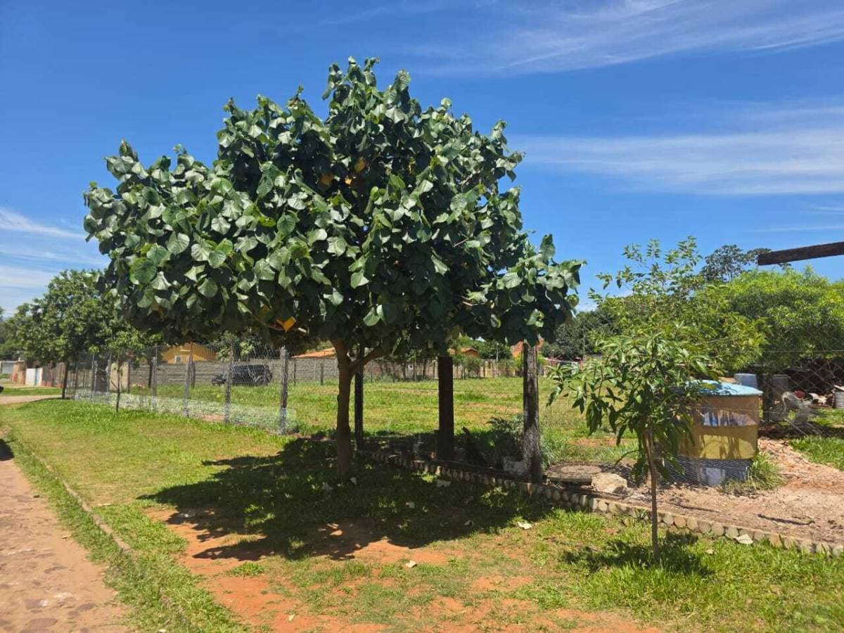 Vendo Terreno en - Luque