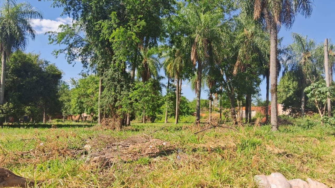 O Permuto Terreno En Limpio, foto 2