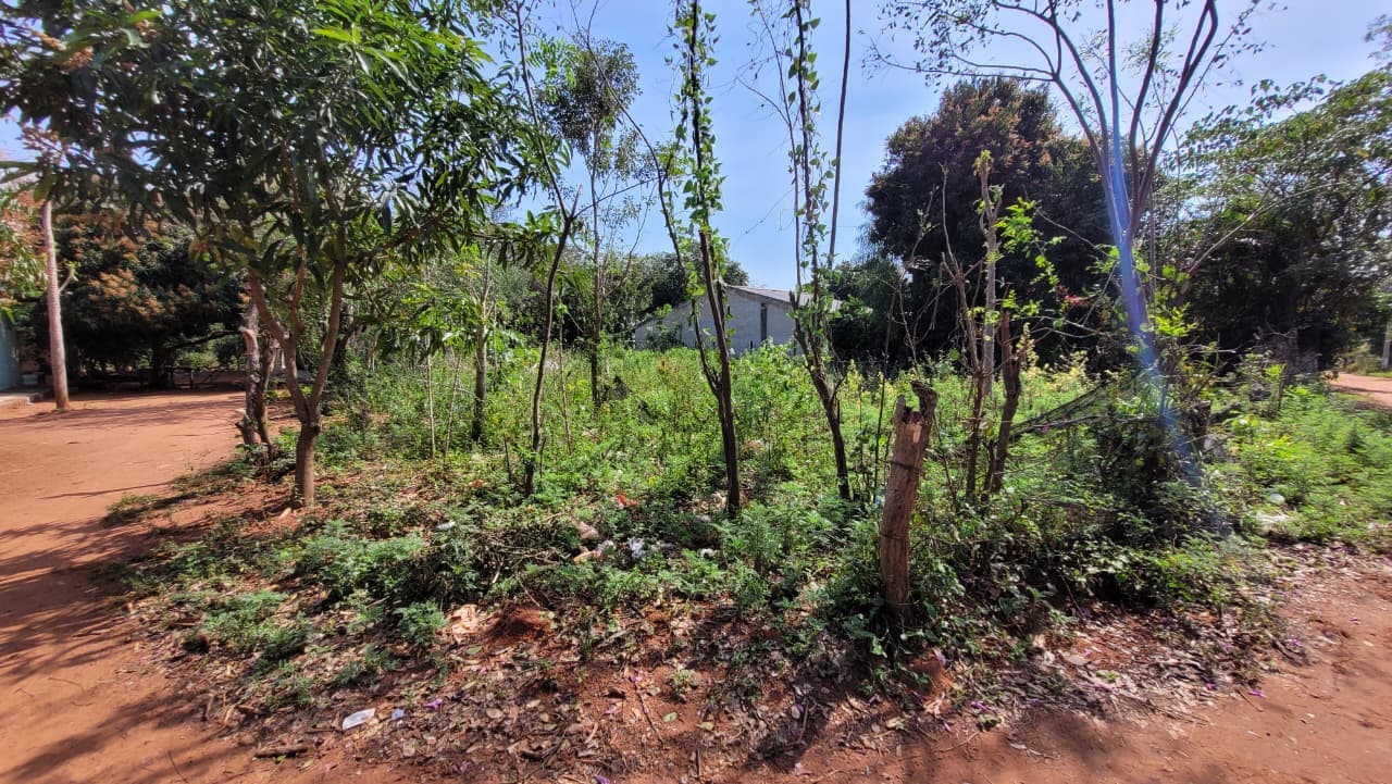 Itauguá - Guayaibity, precio atractivo por m2, ideal para inversión, foto 2