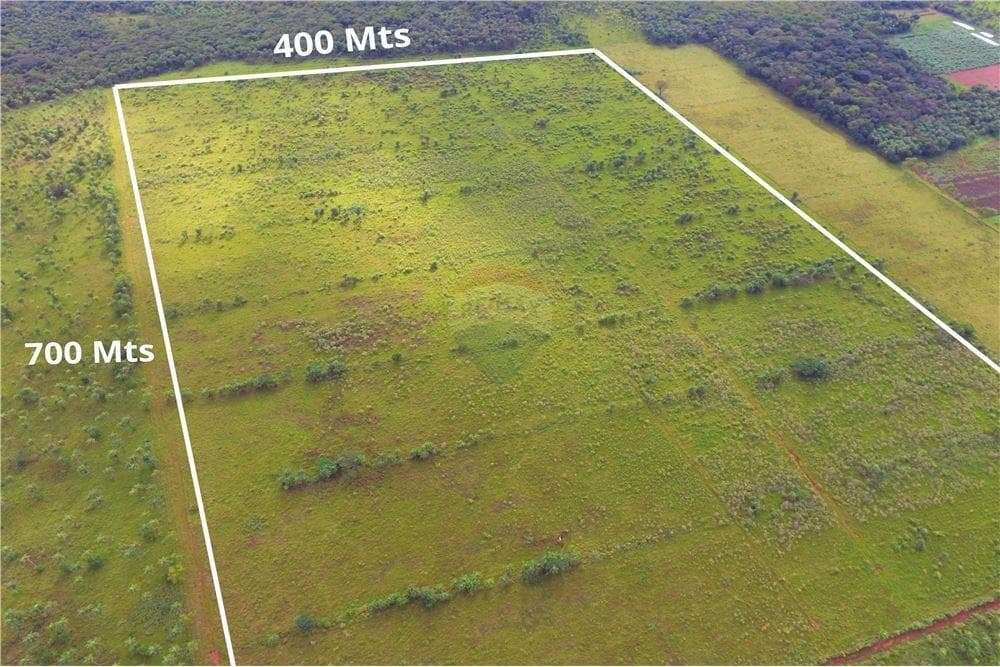 Estancia de 50 hectareas en piribebuy — foto 4