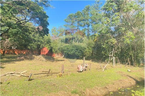 Terreno - Venta - Paraguay Central San Lorenzo, foto 3