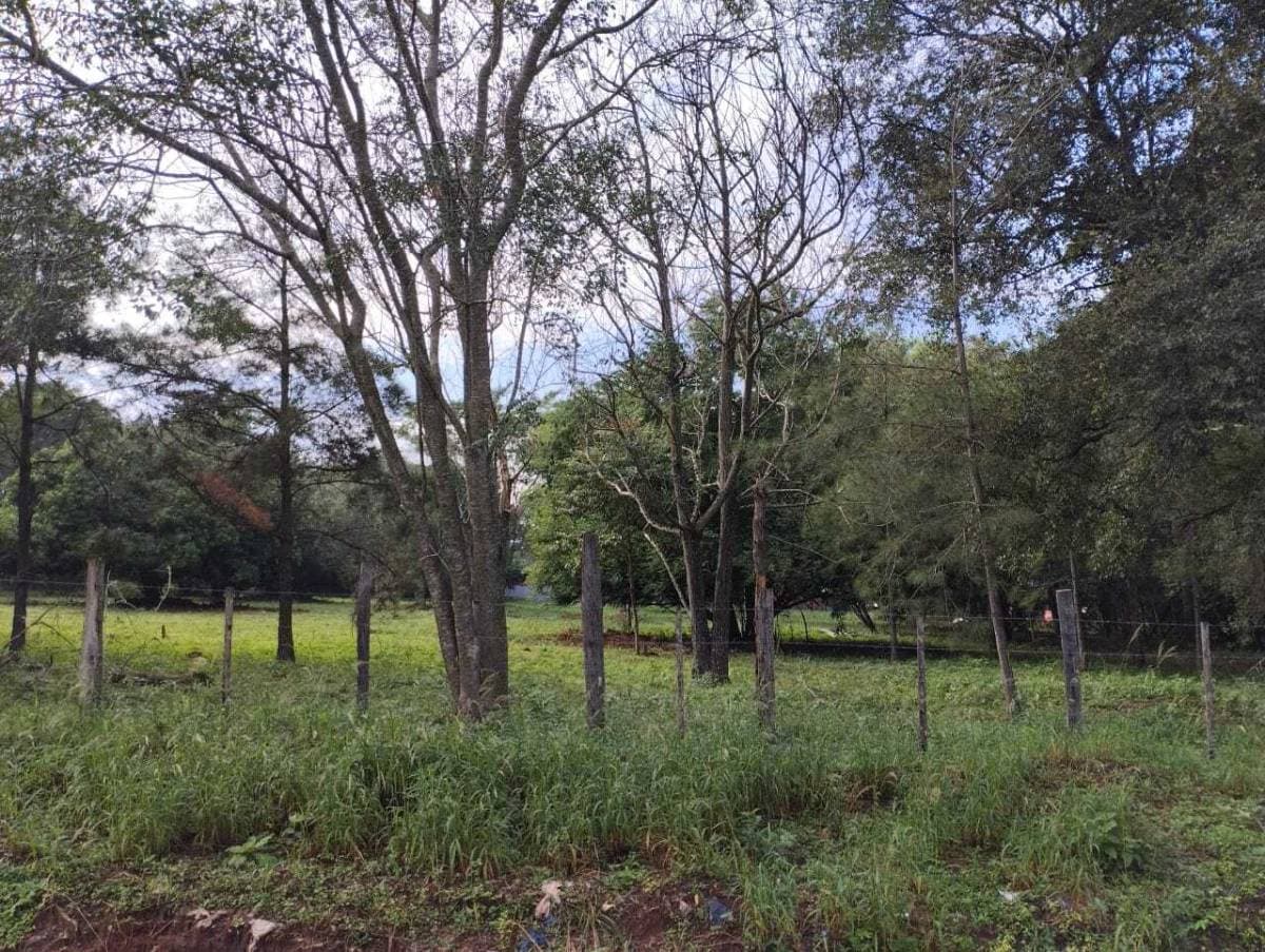 Terreno en Luque, foto 5