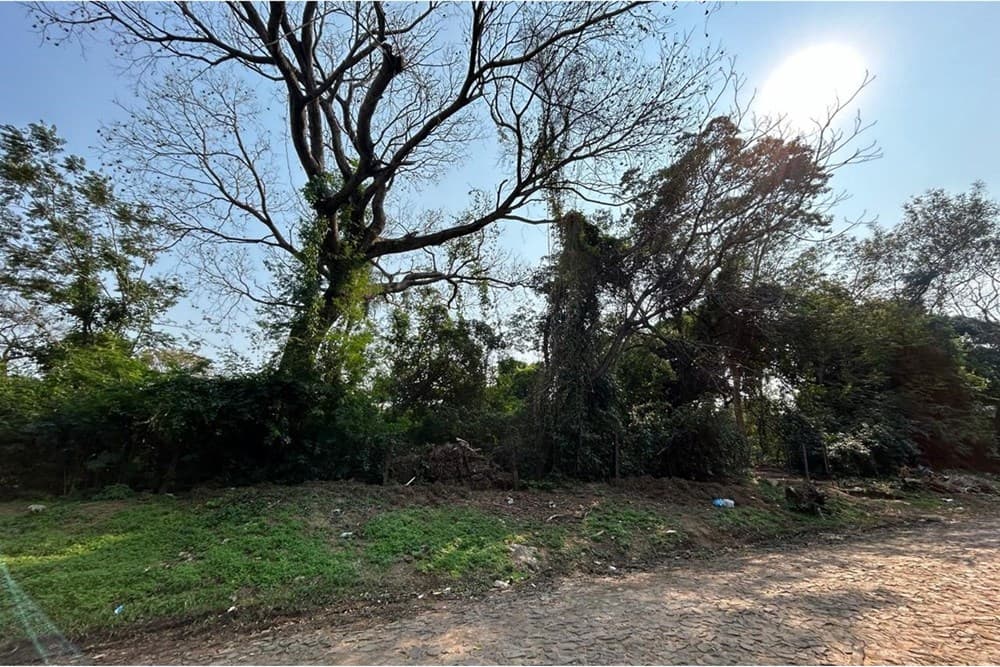 Oportunidad única: Terreno Residencial De 1.156 M² En San Bernardino