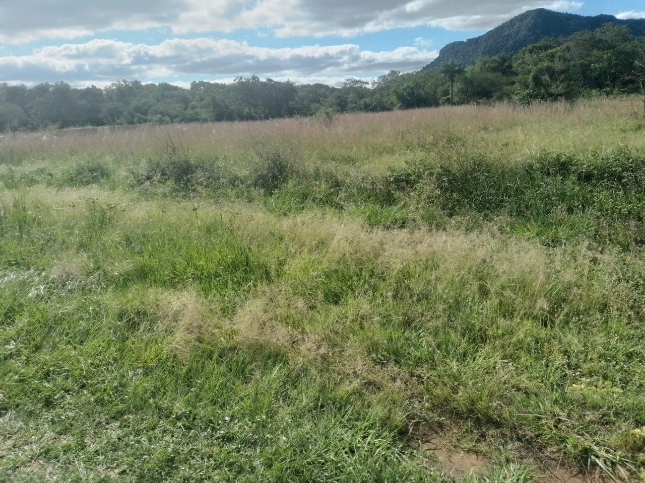 En venta hermoso terreno — foto 1