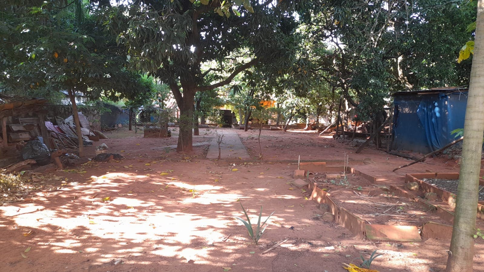 Imponente propiedad en Luque — foto 2