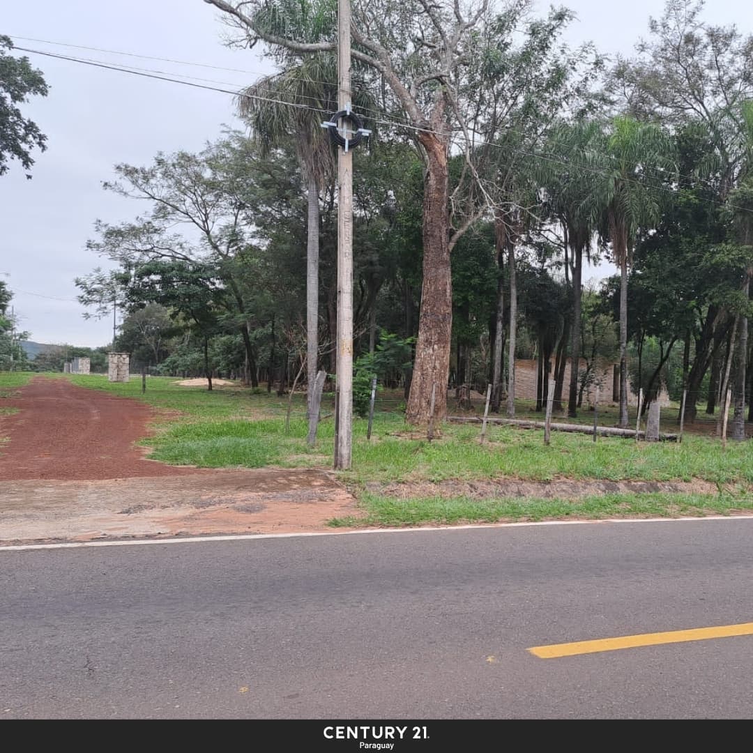 Vendo terrenos en San Bernardino