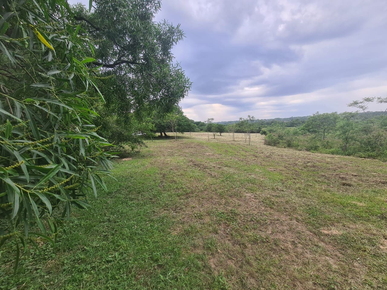 En venta – 2 hectáreas Luque -isla bogado, foto 2