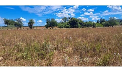 Terrenos en Venta en Ubicación Estratégica Pirayú, foto 3