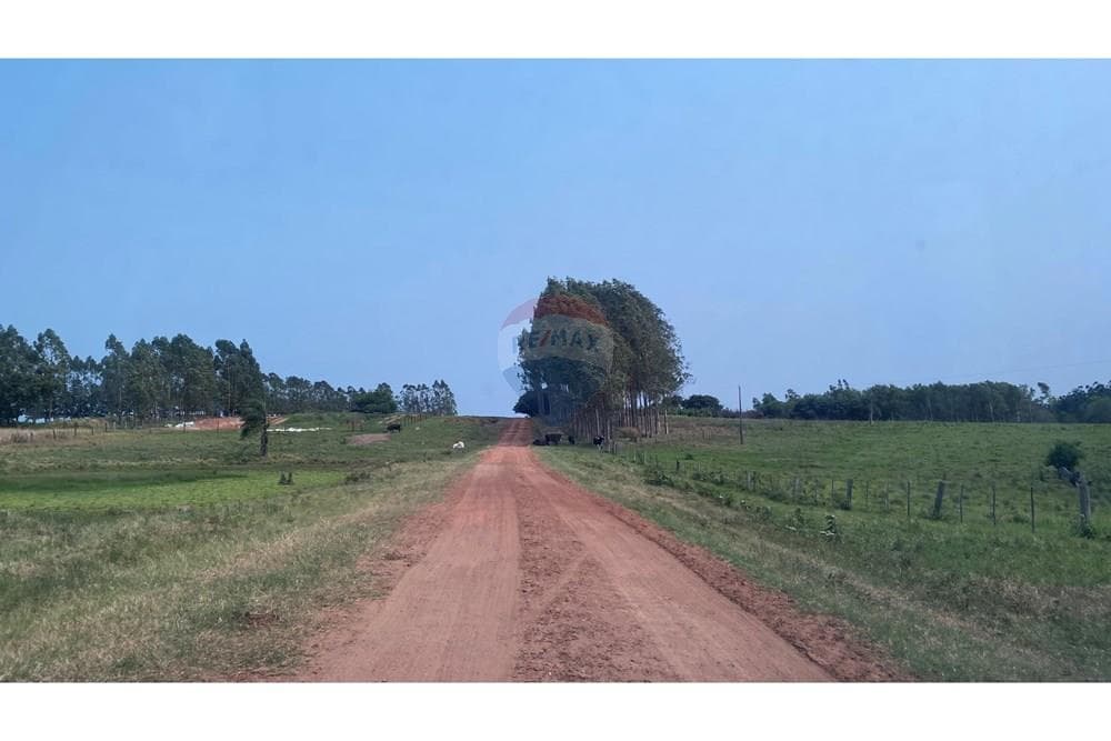 Estancia/campo - Venta - Simón Bolívar, Paraguay, foto 3