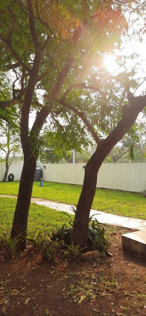 Casa en San Bernardino, foto 2