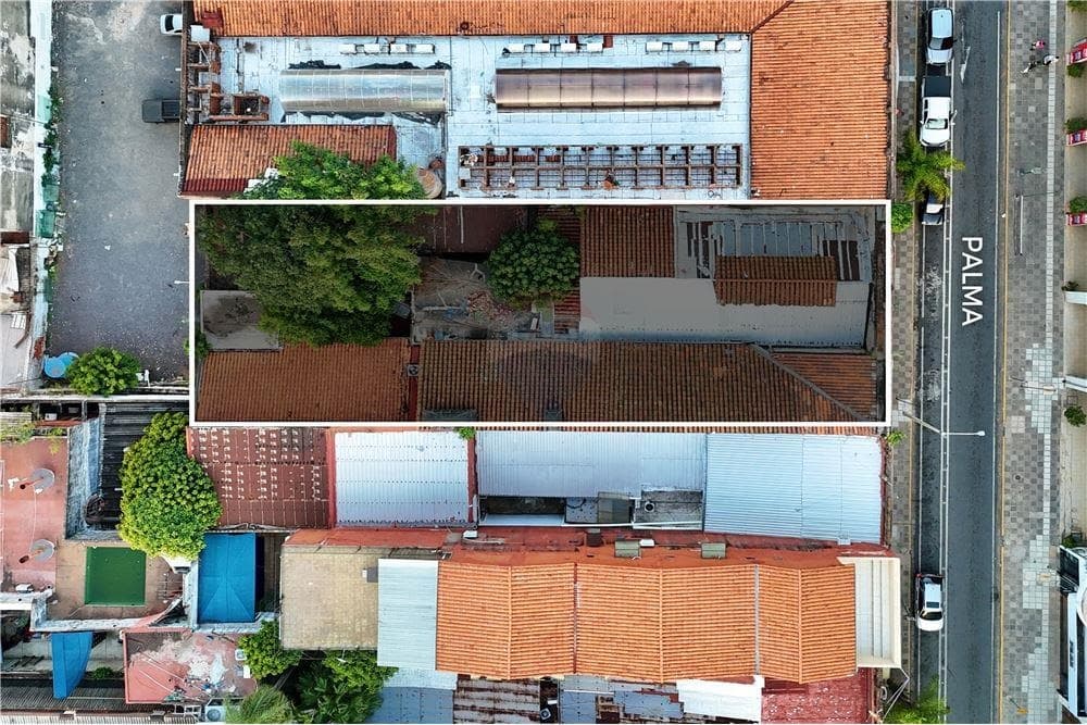 Propiedad comercial sobre calle palma centro, foto 4