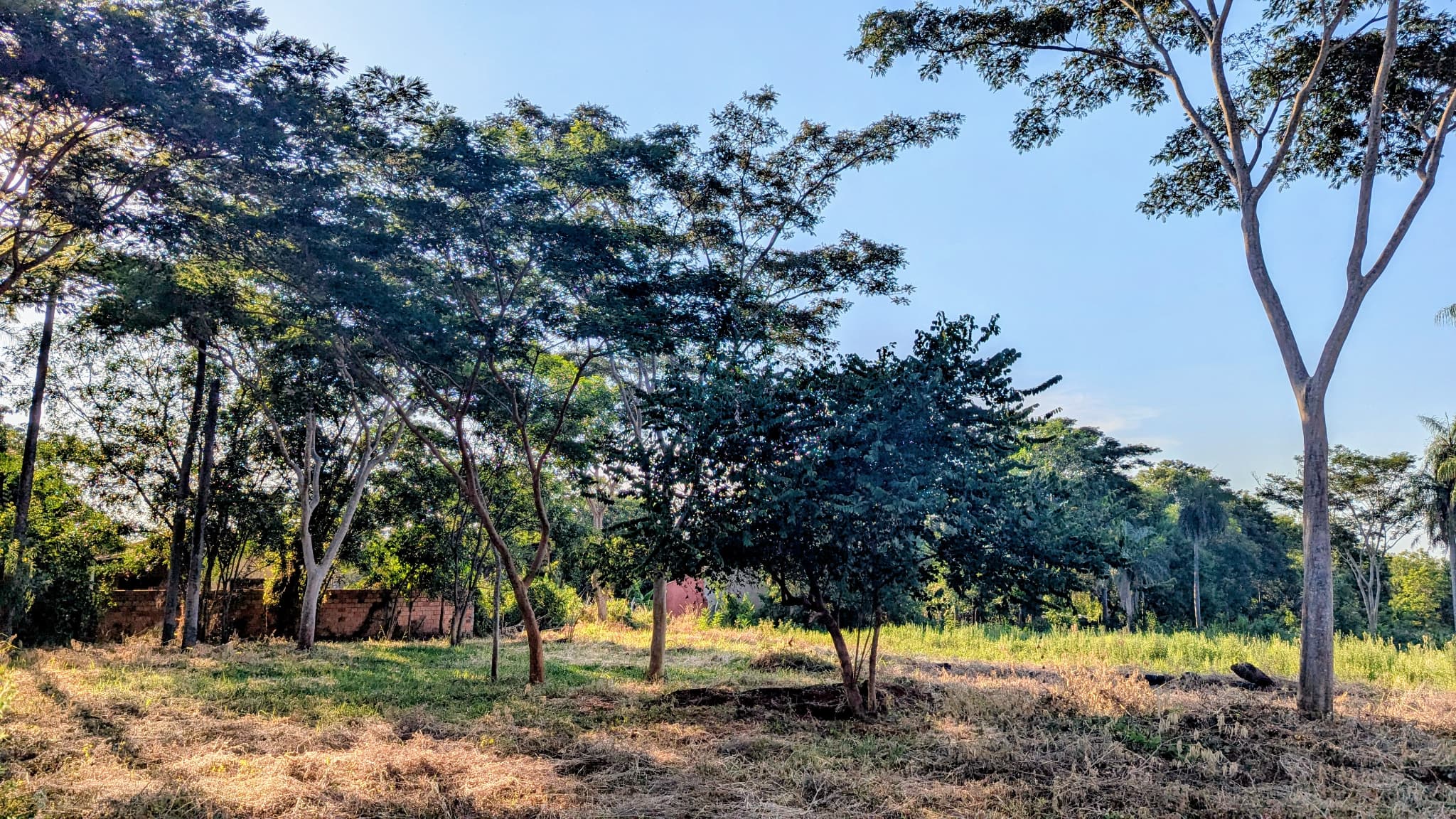 Terreno en esquina en limpio - b° isla aranda — foto 3