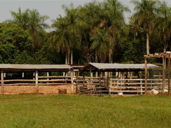Propiedad rural en villeta! Granja de 8 ha, foto 4