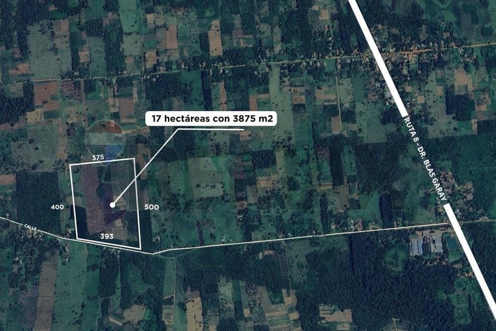 Terreno - Venta, foto 1