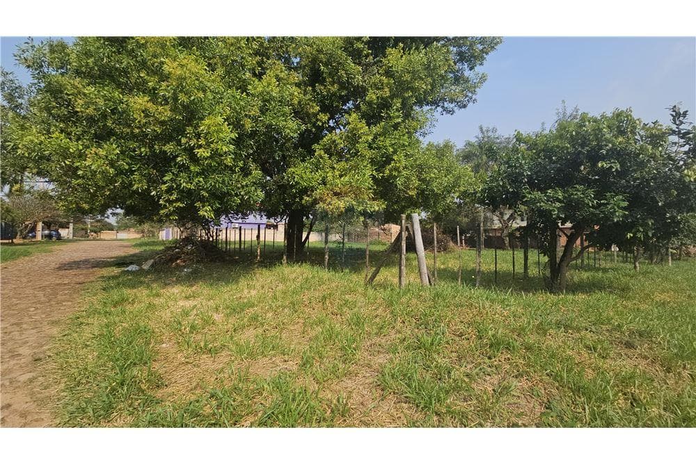 Terreno en Luque laurelty, foto 4