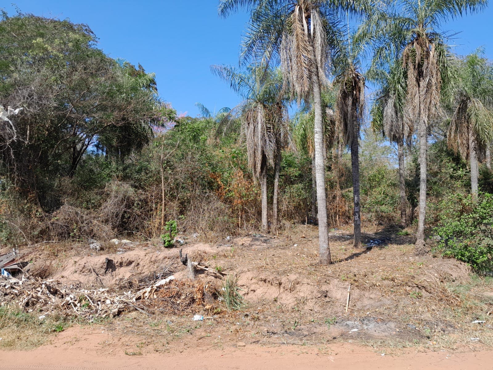 Terrenos en aregua, foto 4