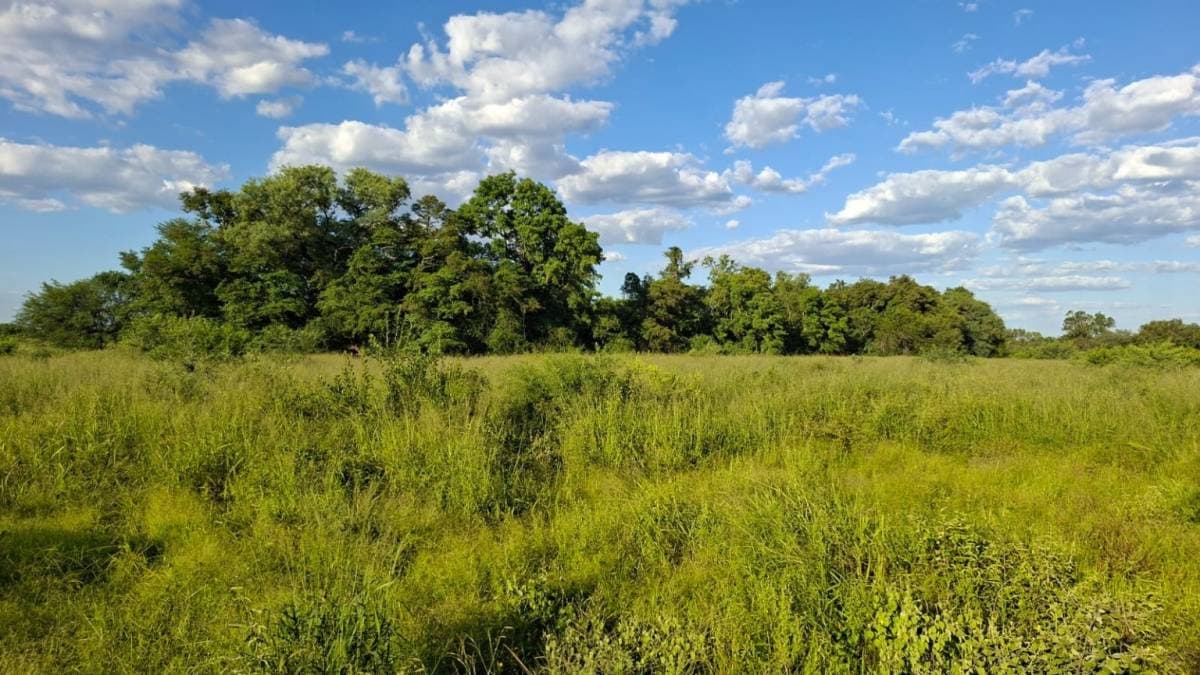 En venta campo con alto potencial — foto 4