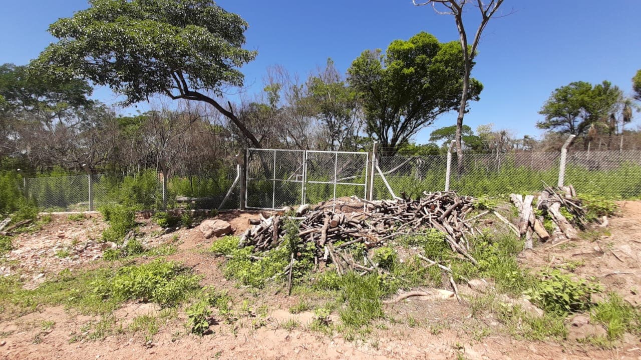 Terrenos en San Bernardino: Lotes de 1.300 m² – Zona Cristóbal Colón — foto 3