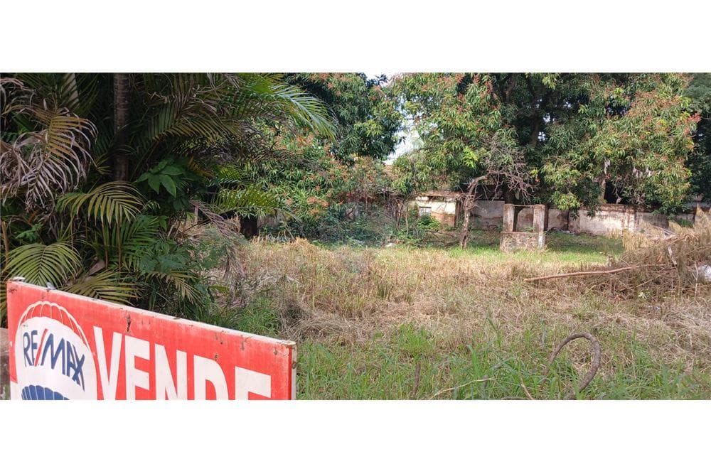 Terreno en Luque- curva romero, foto 4