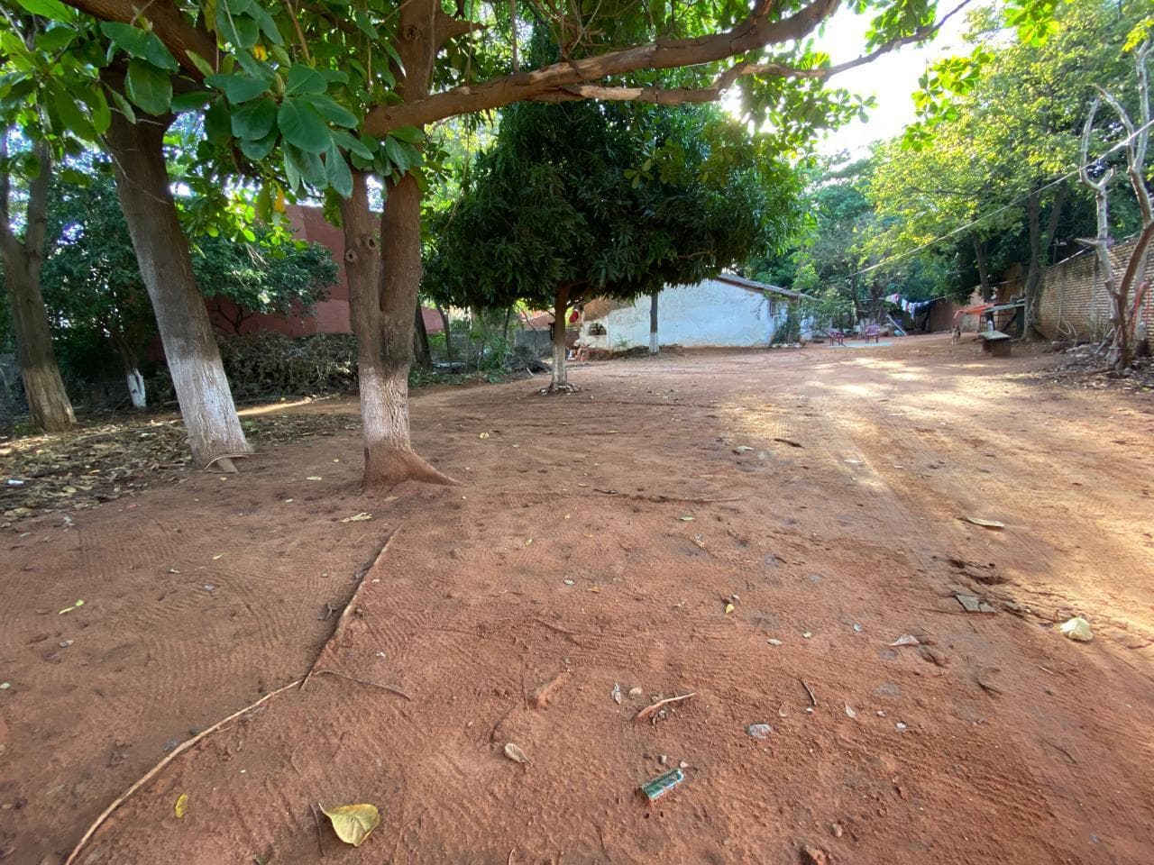 Dos terrenosd en lambare, foto 4