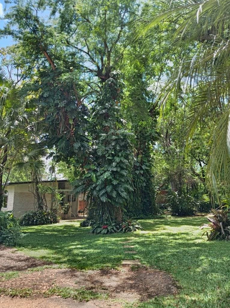 Casa en San Bernardino, cordillera, foto 5