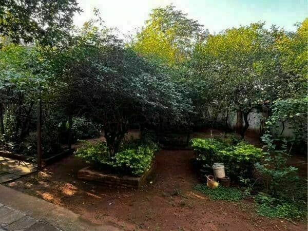 Unica esquina en los laureles 1158 m2, foto 4